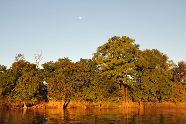 Nearly full moon, Kafue