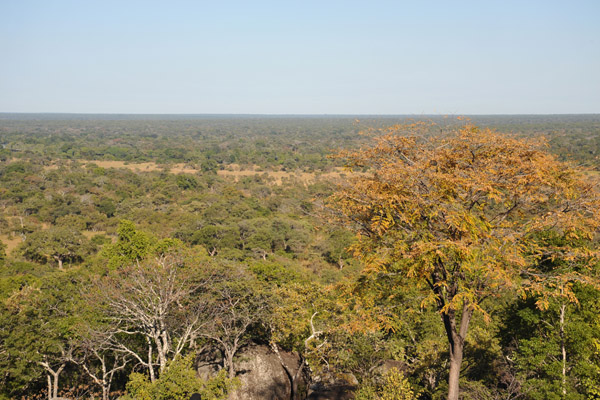 View from the koppie, Puku Pan