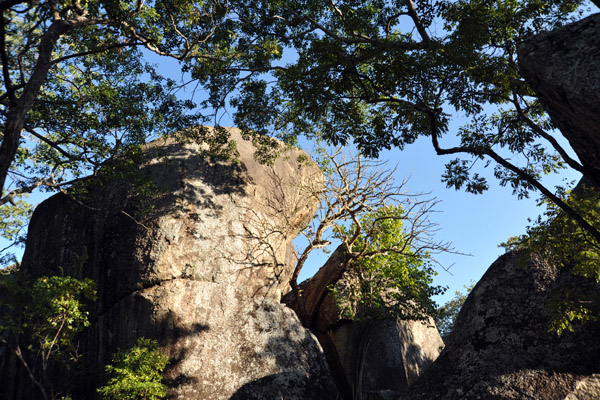 Boulders in the shade of trees, Puku Pan