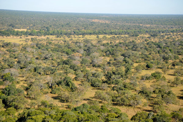 View towards the lodge, Puku Pan