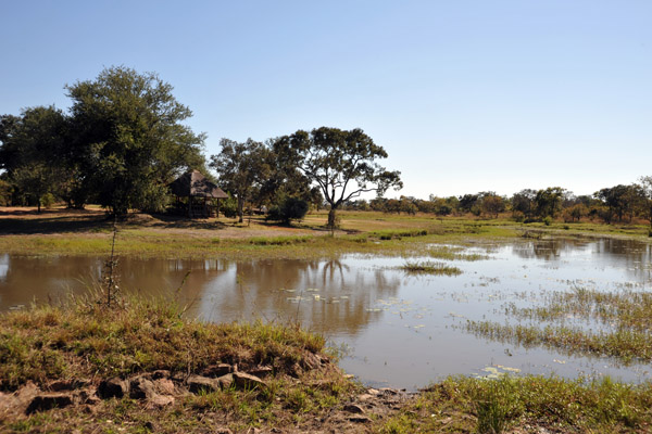 The pool where the hippo was earlier