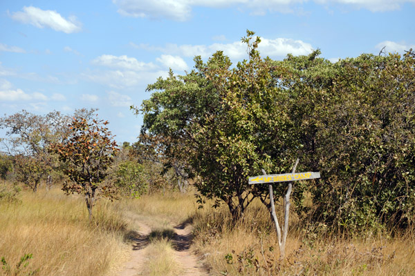 The track from the airstrip to McBride's Camp