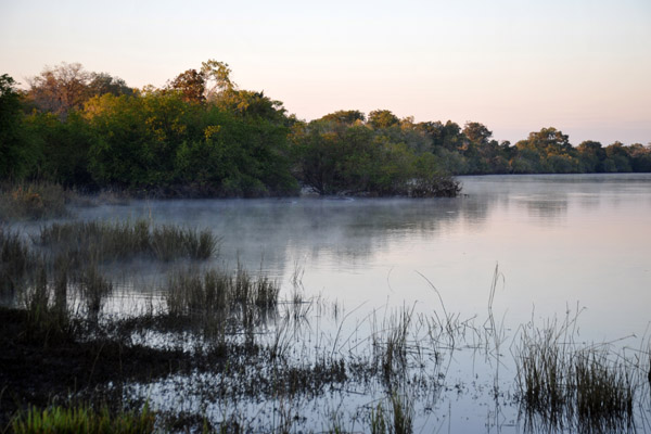 A pod of hippos lives just downstream from McBride's Camp, Kafue National Park