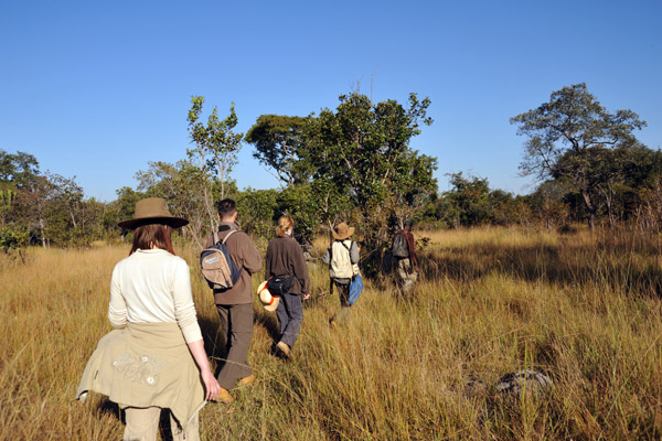 Walking safari from McBride's Camp