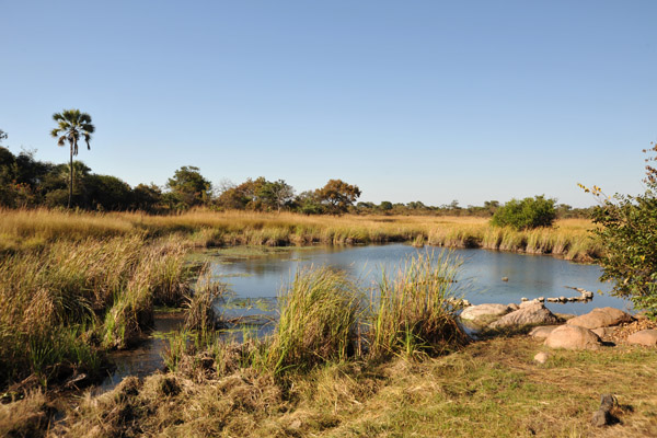 Hot spring near McBride's Camp, Kafue National Park