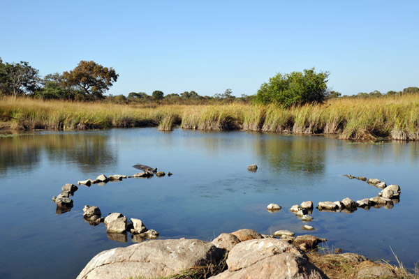 Hot spring near McBride's Camp, Kafue National Park