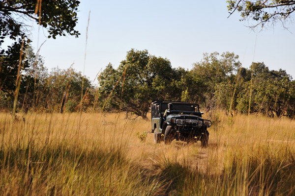 The safari vehicle coming to pick us up