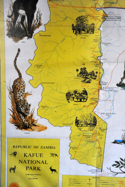 Kafue National Park was established in 1924