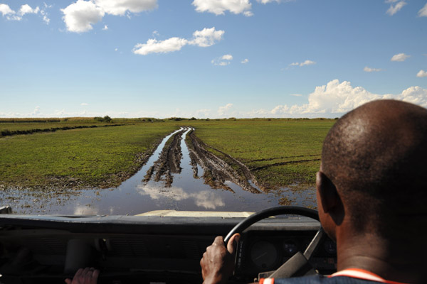 Driving through soggy land from Chimbwi Airstrip to the boat channel