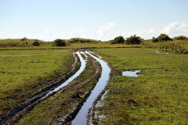 Road from Chimbwi Airstrip (S11 58.0/E030 15.4)