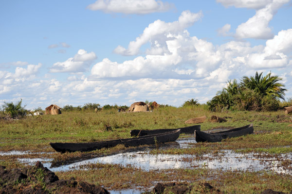 Mokoros - wooden dugout canoes used in the wetlands of Southern Africa