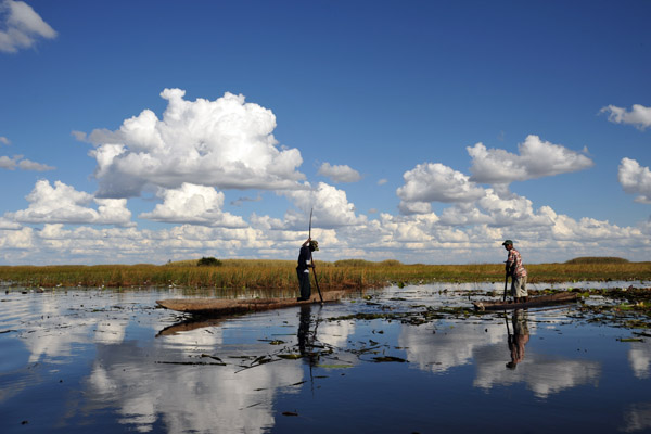 Local fishermen on mokoros, Bangweulu Swamps