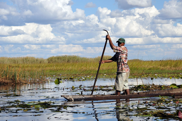 Zambian on a mokoro, Bangweulu Swamps