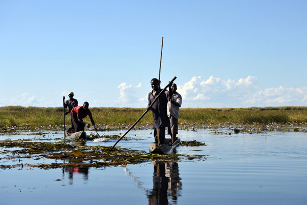 The fisherman are clearing an area of lilies to place their nets