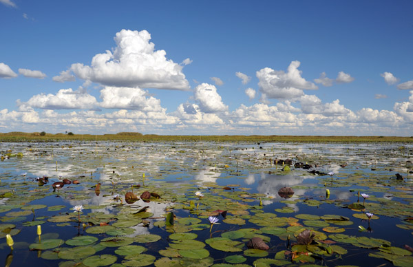 Bangweulu - Where the water sky meets the sky