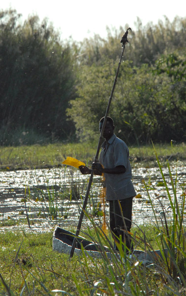 Fisherman, Bangweulu Swamps