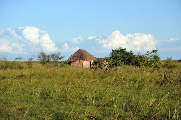 Native hut near Shoebill Island, Bangweulu Swamps