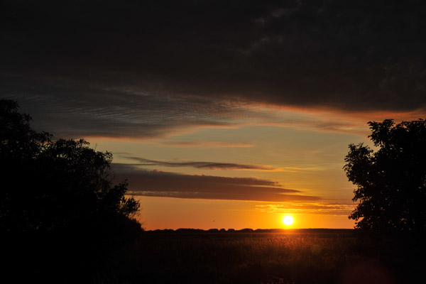 Sunrise, Shoebill Island, Bangweulu Swamps