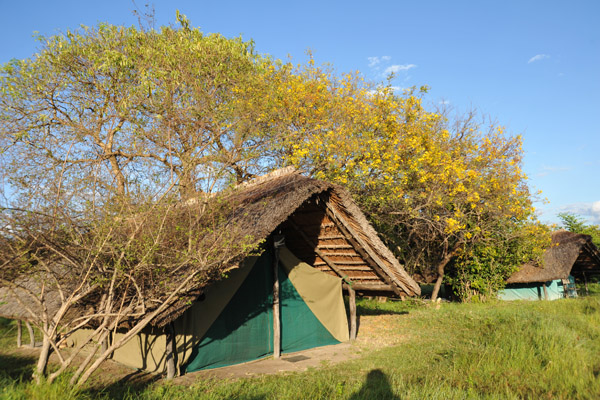 Shoebill Island Camp, Bangweulu Swamps