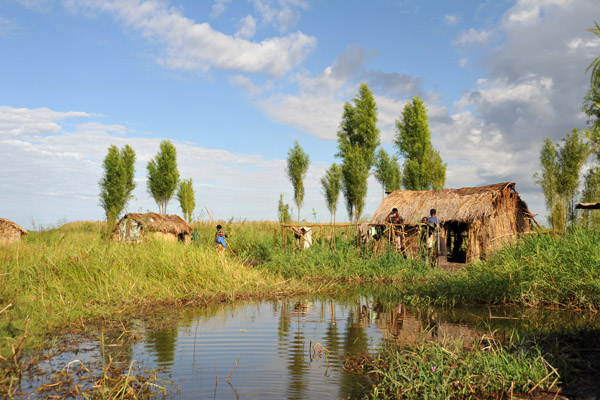 Huts of the inhabitants of the Bangweulu on a small channel