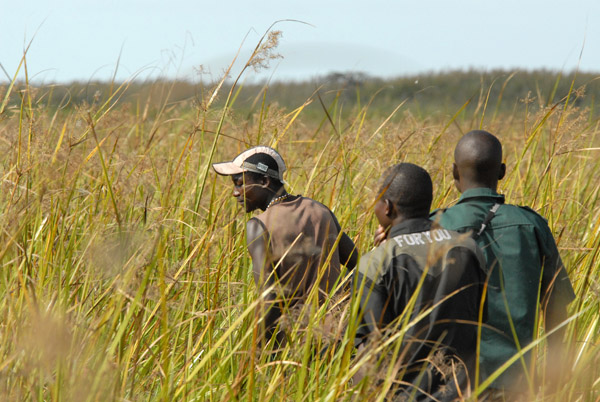 The guides go off on foot to look for shoebill while we wait