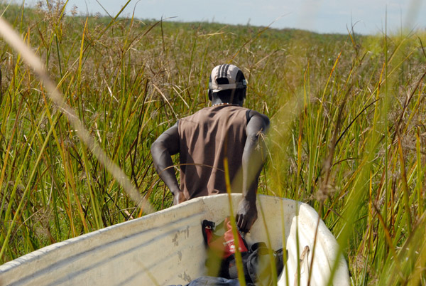 Guides dragging a boat through the swamp grass towards where they said they found some shoebills