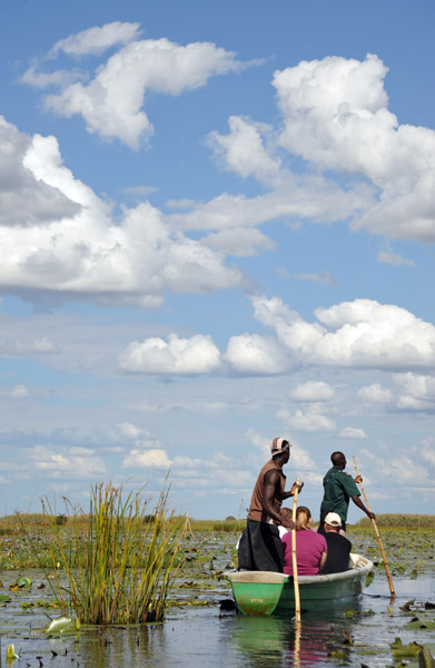 Bangweulu Swamps, Zambi