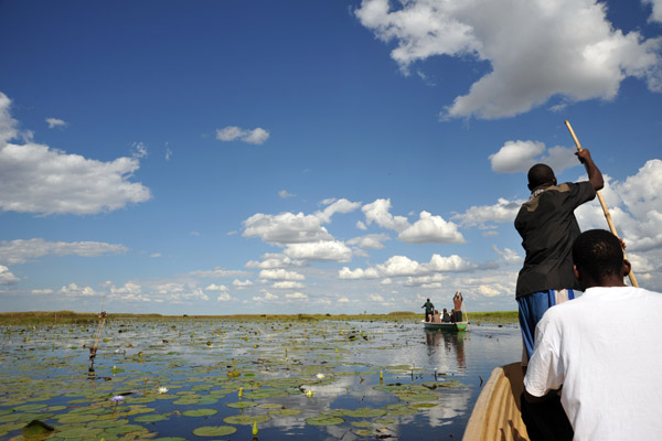 Bangweulu Swamps, Zambi