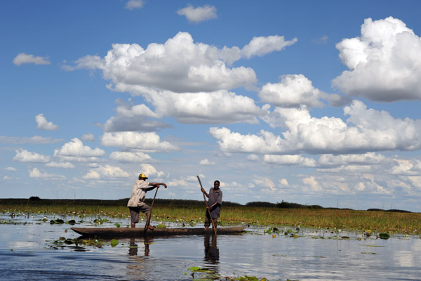 Bangweulu Swamps, Zambi