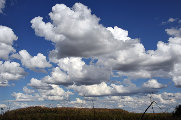 Fair-weather cumulous clouds over the Bangweulu Swamp