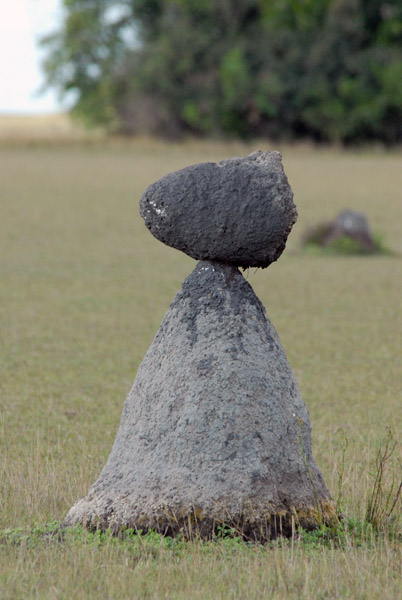 Someone having fun with a termite mound