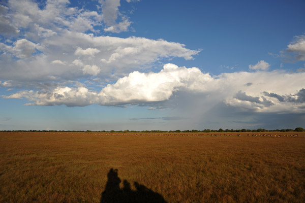 Bangweulu Flats