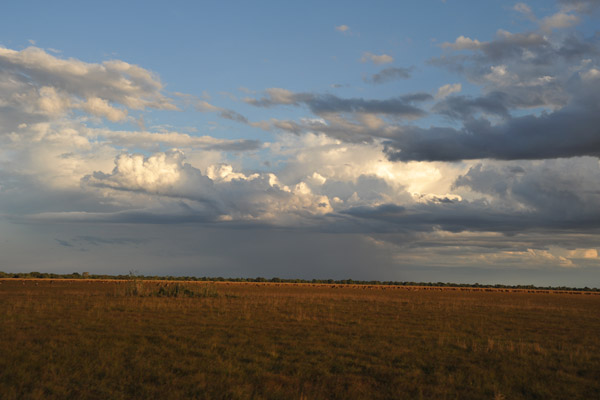 Distant shower, Bangweulu Flats