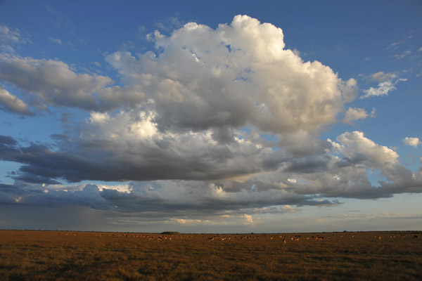 Clouds over the Bangweulu Flats