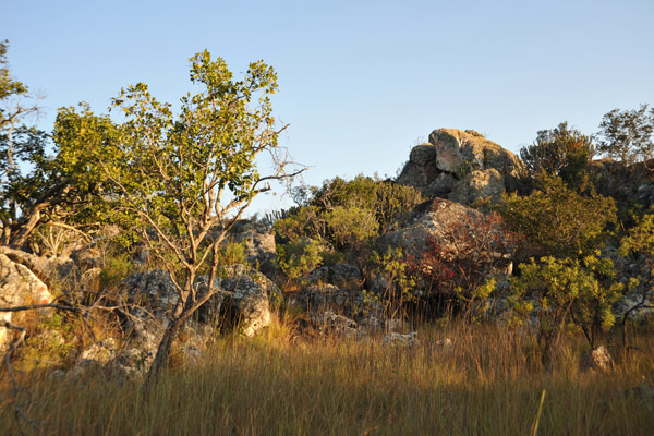 Bush walk to Kapishya Hot Springs Lodge