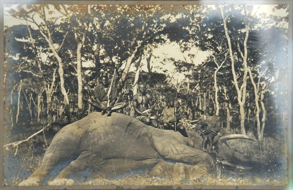 Historic photography of an elephant hunt, Shiwa House