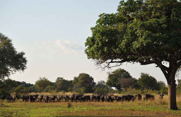 Our guide ensures us that we are at a safe distance