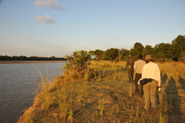 Walking safari along the banks of the Luangwa River