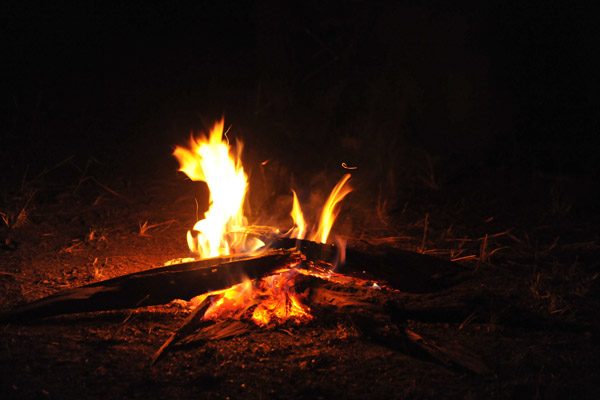 Campfire at the Bush Camp