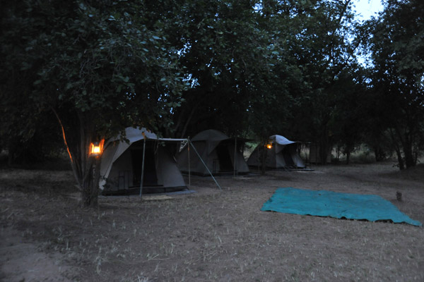 Early morning at the Bush Camp