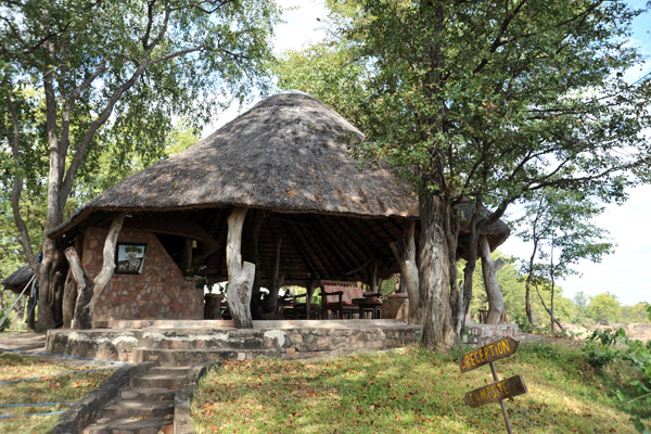 Wildlife Camp's second bar