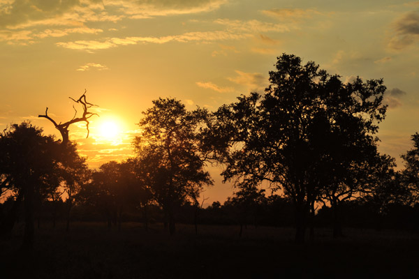 Late afternoon, South Luangwa National Park