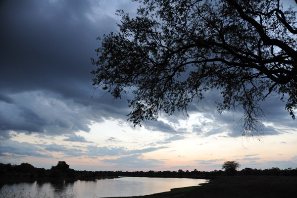 South Luangwa National Park