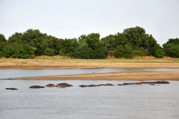 South Luangwa National Park