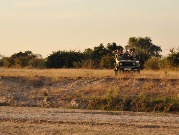 End of the peace - the other lodge's vehicles are on the prowl for lions