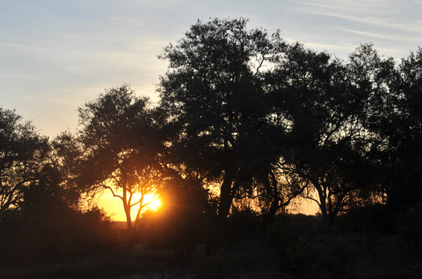 Sunset, South Luangwa National Park