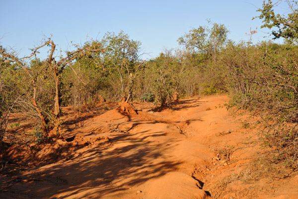 Crappy road to Lower Zambezi National Park