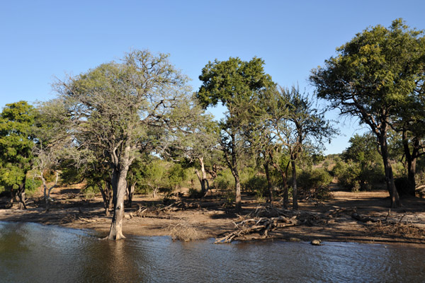 Chobe Riverfront, Chobe National Park
