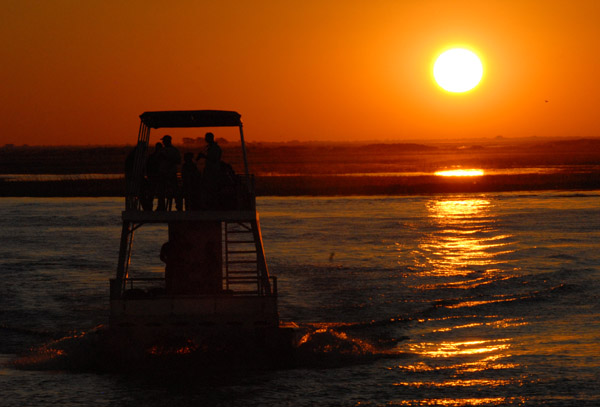 Tour boat on the Chobe River at sunset