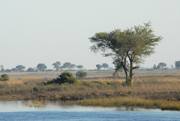 Looking across the Chobe River, Serondela Picnic Area